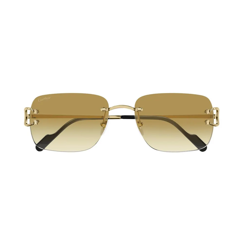 Cartier Cartier Mens CT0330S Sunglasses detail 3