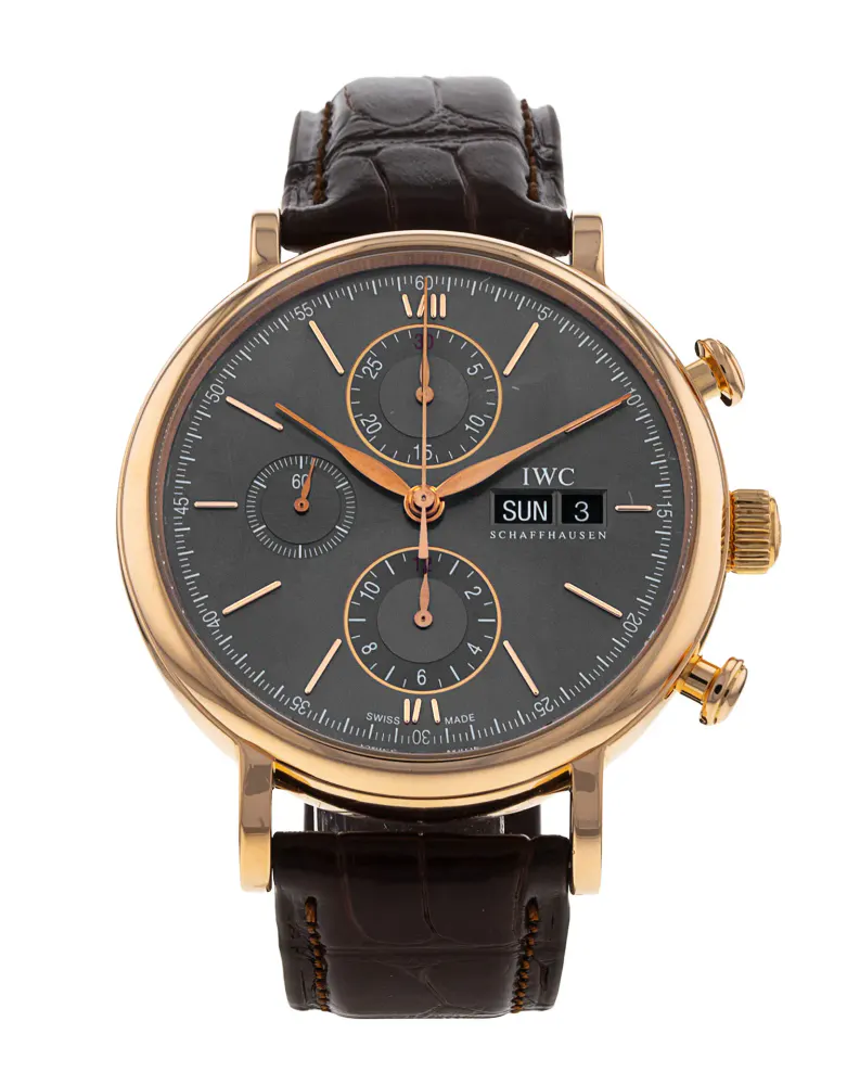 IWC Portofino Chronograph IW391021 — 2021 — Excellent