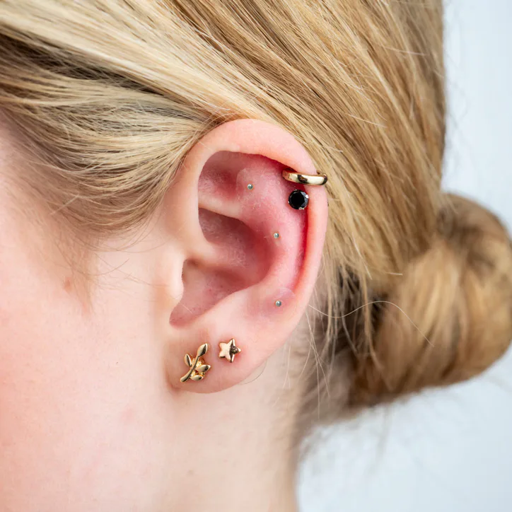 AcuPips Ear Seed Kit for Everyday Wellbeing - 20 Rose Gold Plated and 60 Natural Ear Seeds detail 2