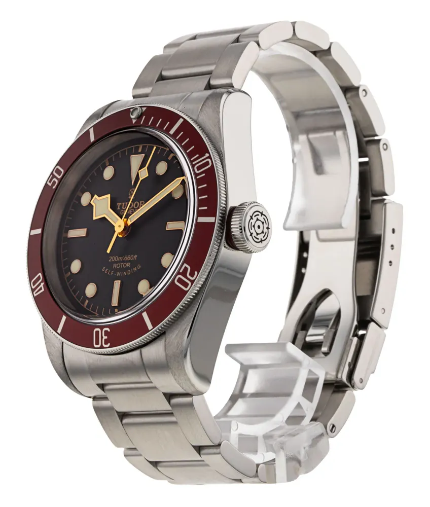 Tudor Heritage Black Bay 79220R — 2016 — Excellent detail 2