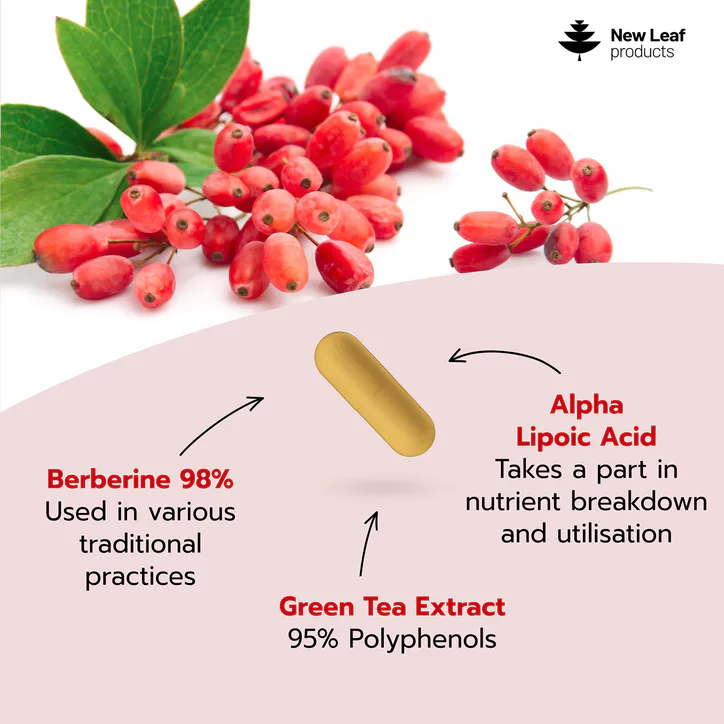 New Leaf Products Berberine Capsules, additional product view 2