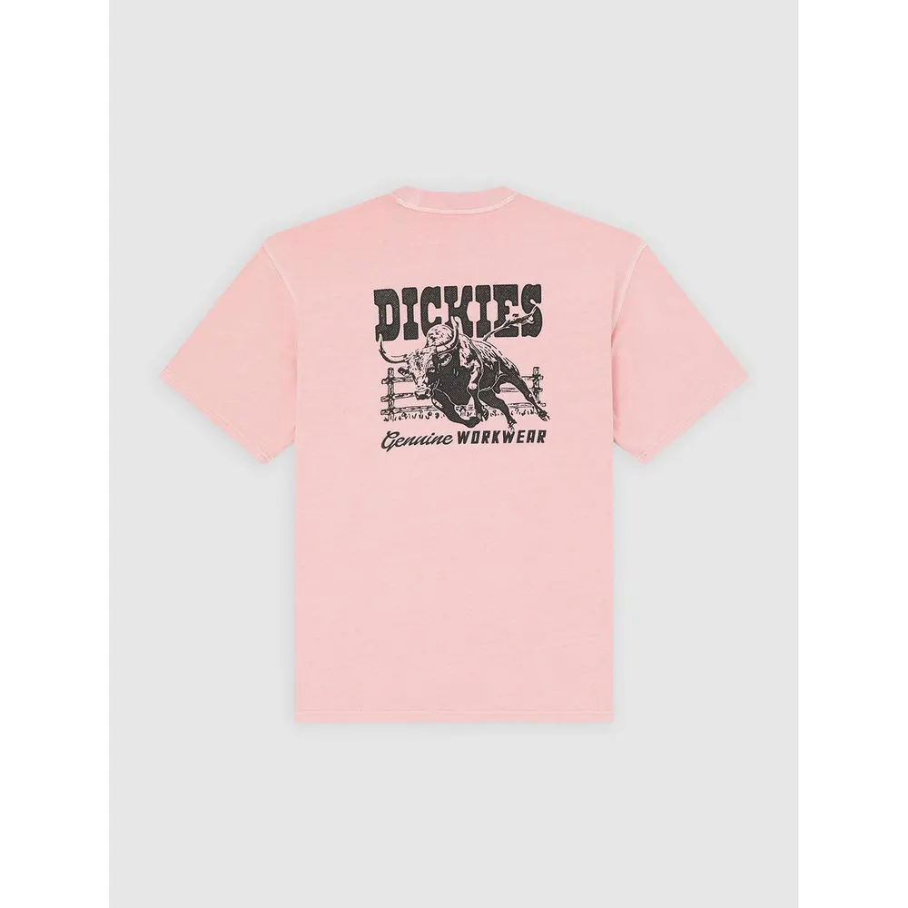 Dickies Dickies Buchtell Tee Mens