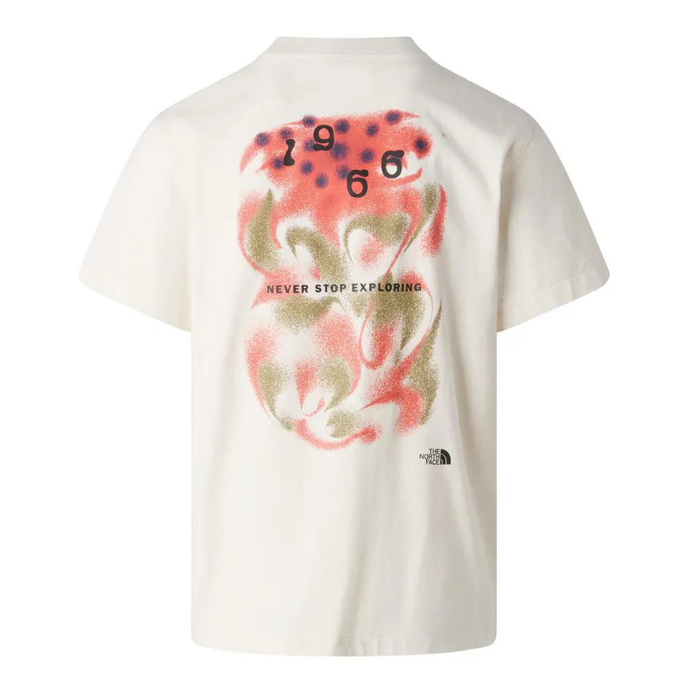 The North Face TNF Graphic Tee Mens