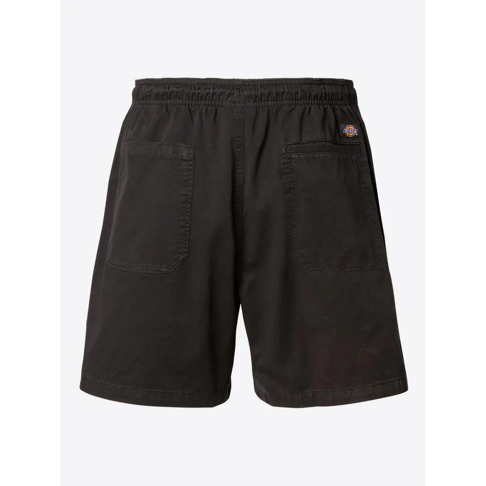 Dickies Dickies Pelican Short Mens detail 2