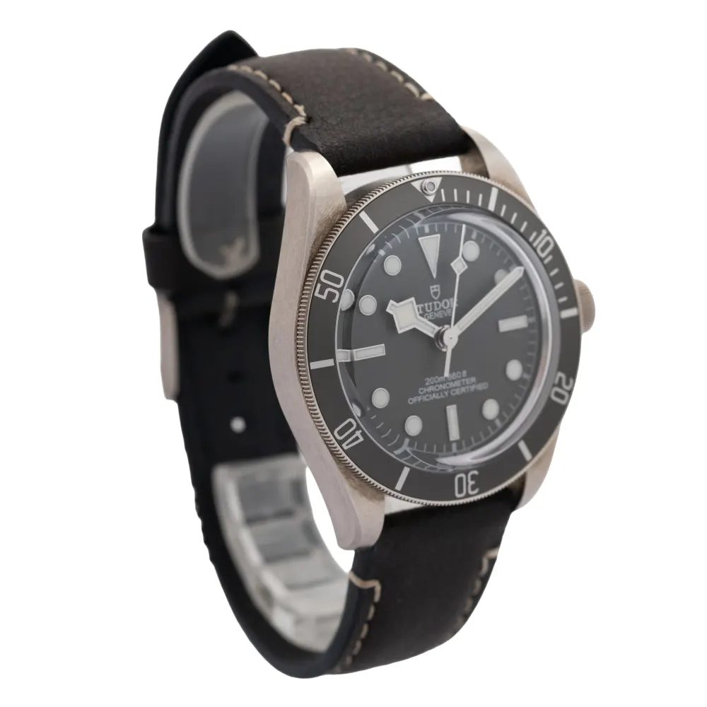 Tudor Black Bay 58 M79010SG-0001 — 2021 — Good detail 2