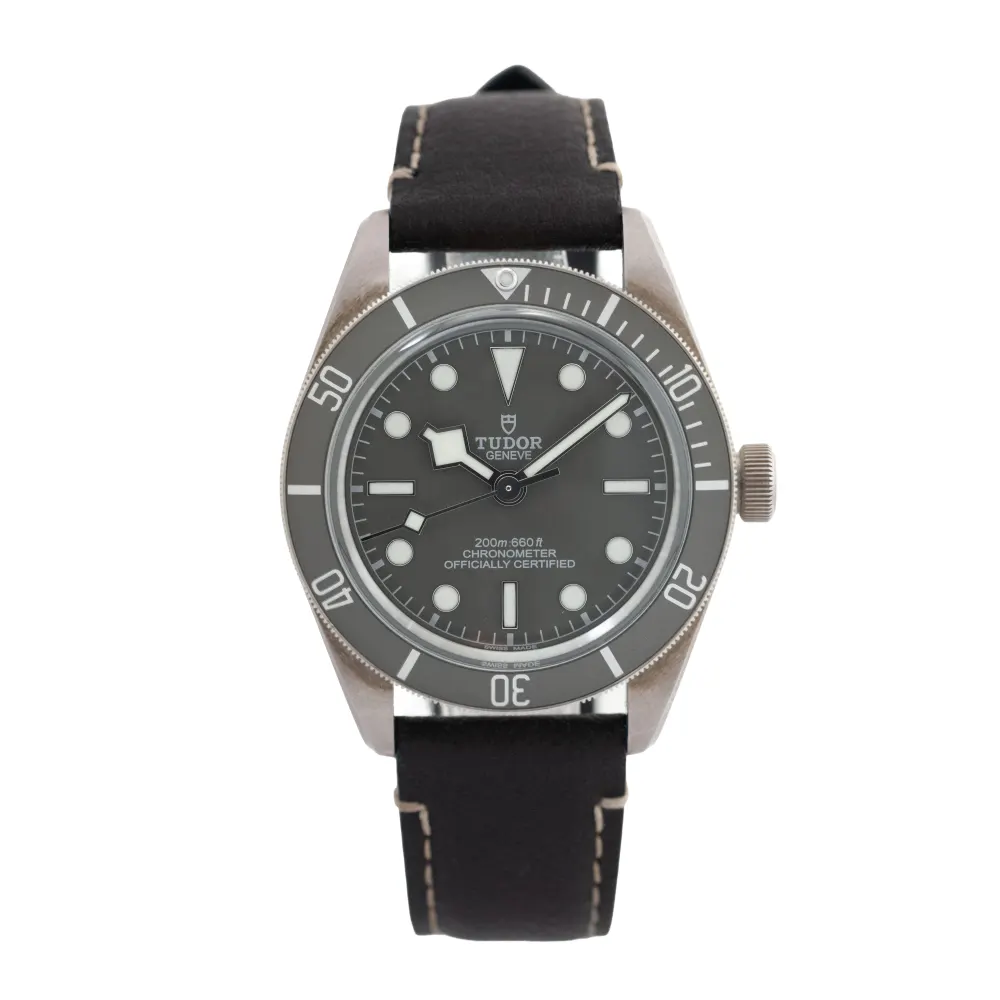 Tudor Black Bay 58 M79010SG-0001 — 2021 — Good