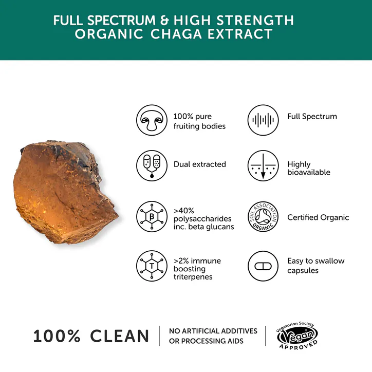 Together Health Organic Chaga 60 Capsules, additional product view 3