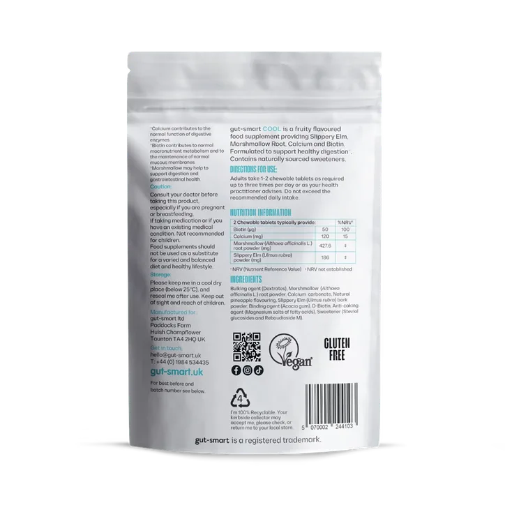 Gut-Smart COOL 60 Pineapple 60 Tablets, additional product view 2