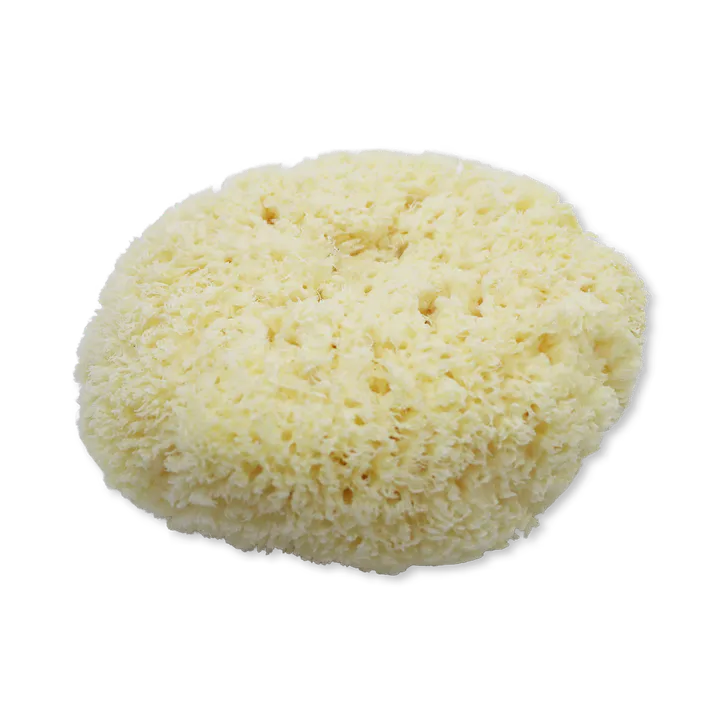 SpongeBox Natures Touch Sheep Wool Gentle Body & Bath Natural Sea Sponge 6-6.5 Inches