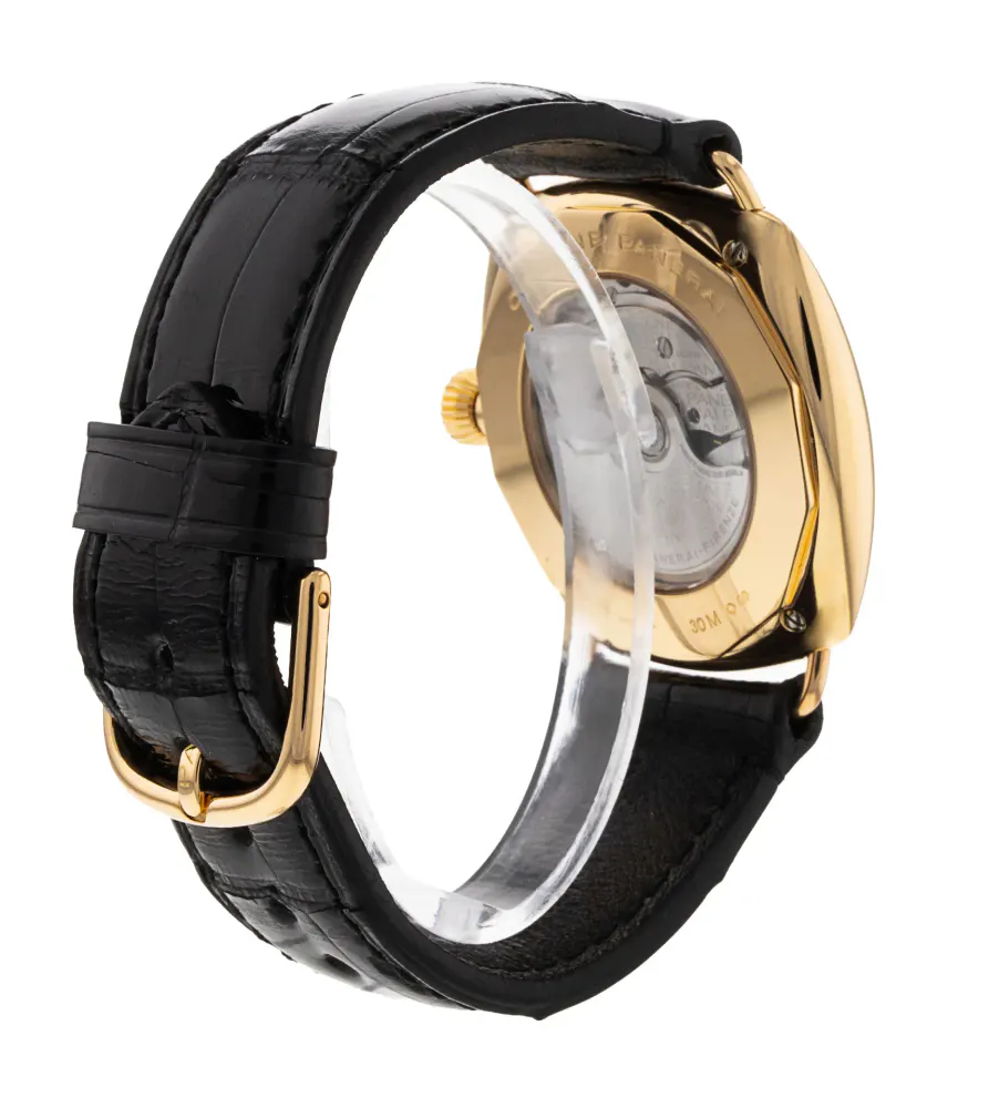Panerai Radiomir Automatic PAM00101 — 2002 — Excellent in Black Diamond, additional product view 3
