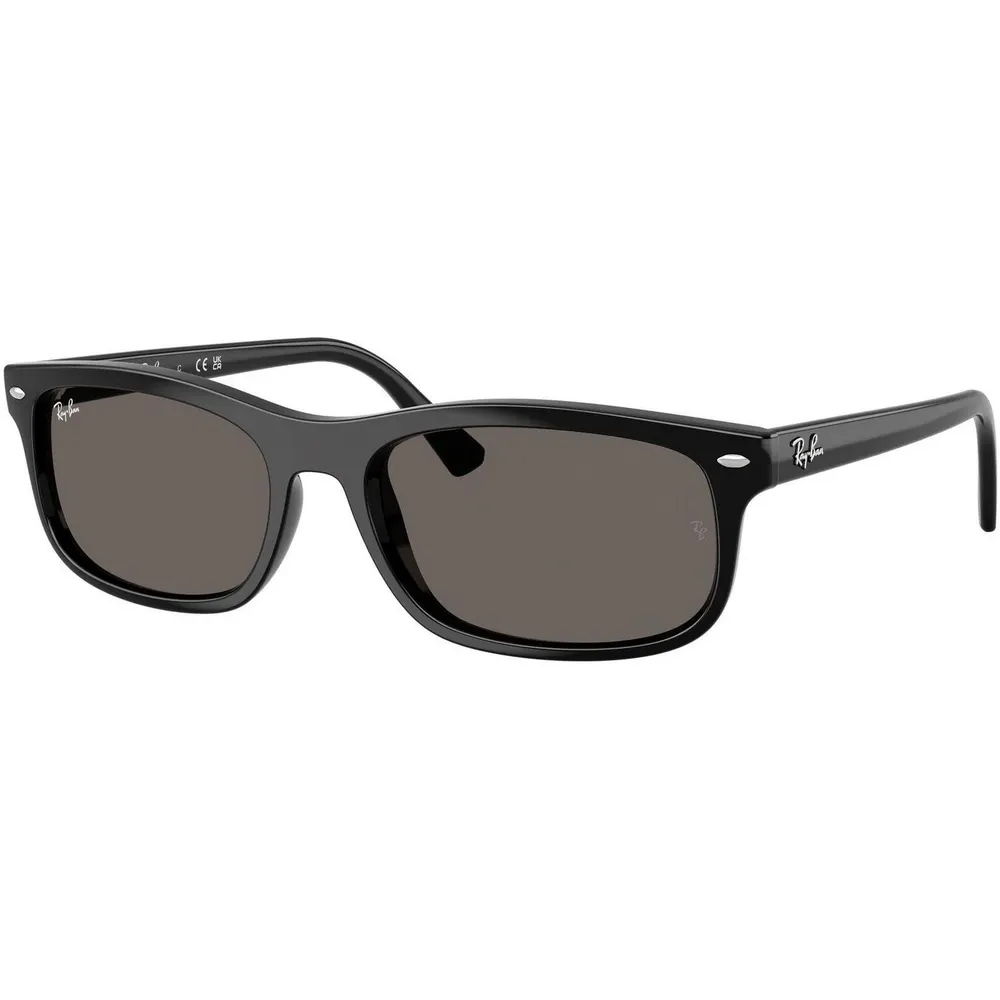 Ray-Ban 0RB2224 Rectangle Sunglasses