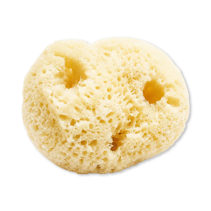SpongeBox 6-Pack Natural Sea Sponge Puffs - Yellow