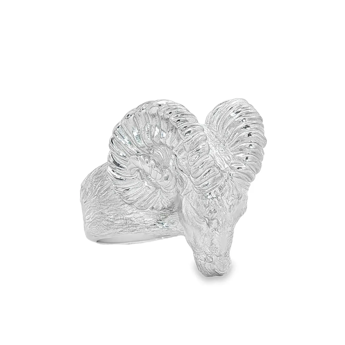 MARYAM - For Him SILVER Silver Ram Head Statement Ring 71135 in 8 – Ring