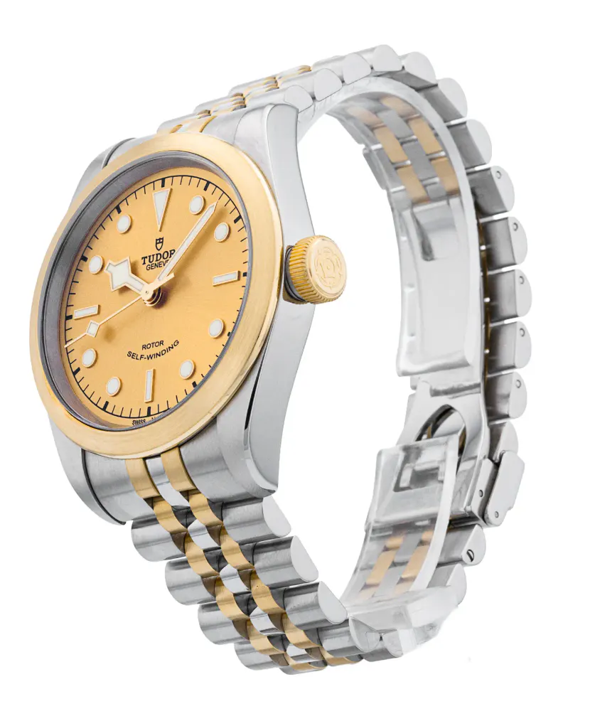 Tudor Heritage Black Bay M79543-0002 — 2021 — Very good detail 2