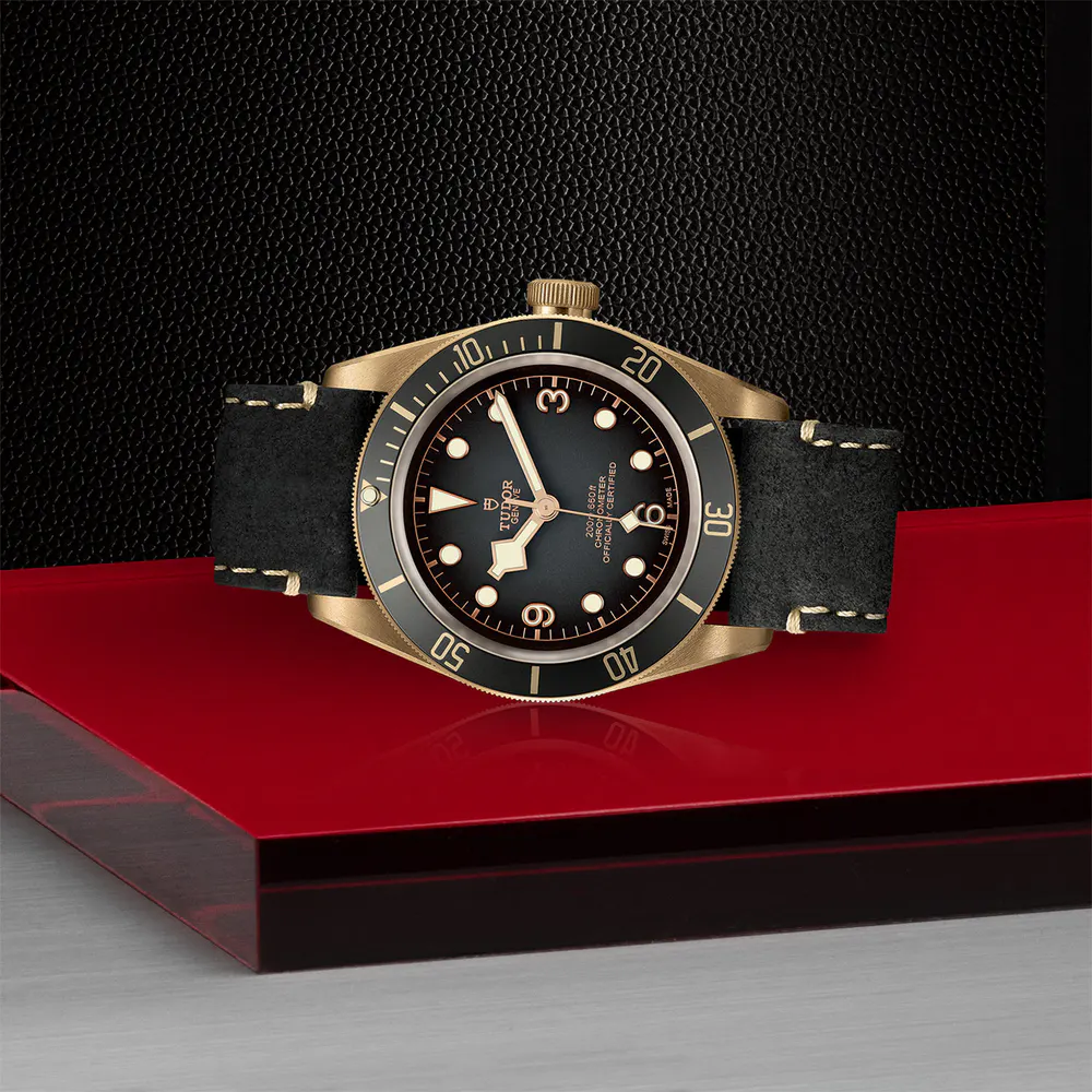 Tudor Black Bay Bronze 43mm Bronze Case Black Leather Strap detail 3