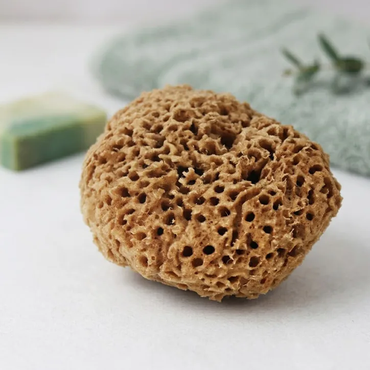 SpongeBox Soft Serenity Sheep Wool Gentle Body & Bath Natural Sea Sponge 5-5.5 Inches, additional product view 2
