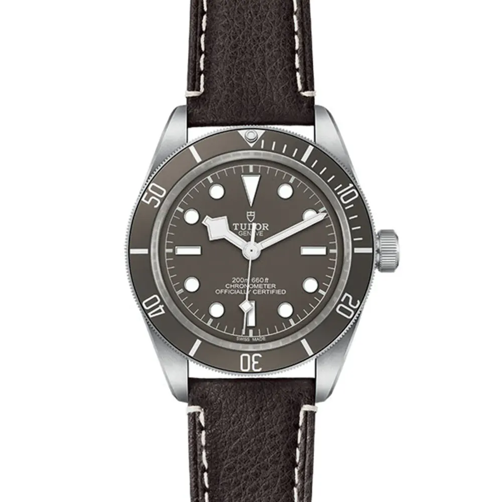 Tudor Black Bay 58 925 39mm Silver Case Brown Leather Bracelet detail 2