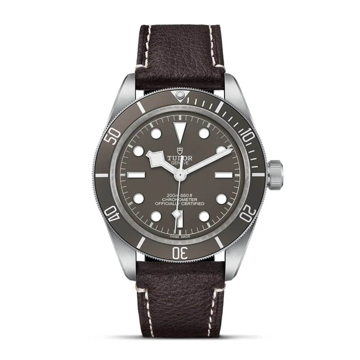 Tudor Black Bay 58 925 39mm Silver Case Brown Leather Bracelet