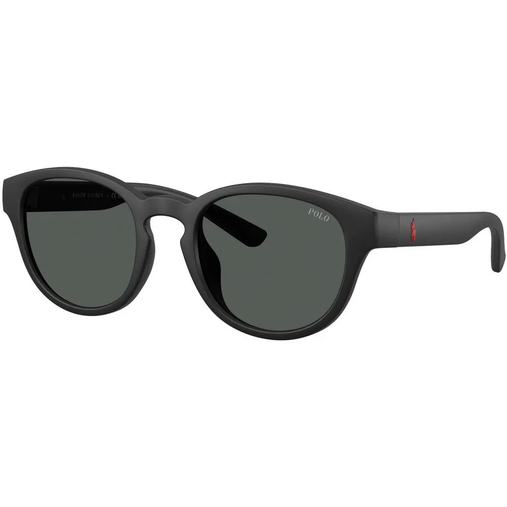 Polo Ralph Lauren Men's 0PH4233U Round Sunglasses detail 2