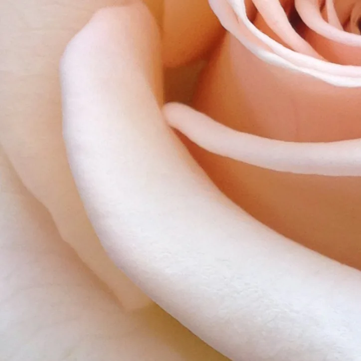 B Calm Hydrating Rose Mist Toner - Organic, additional product view 3