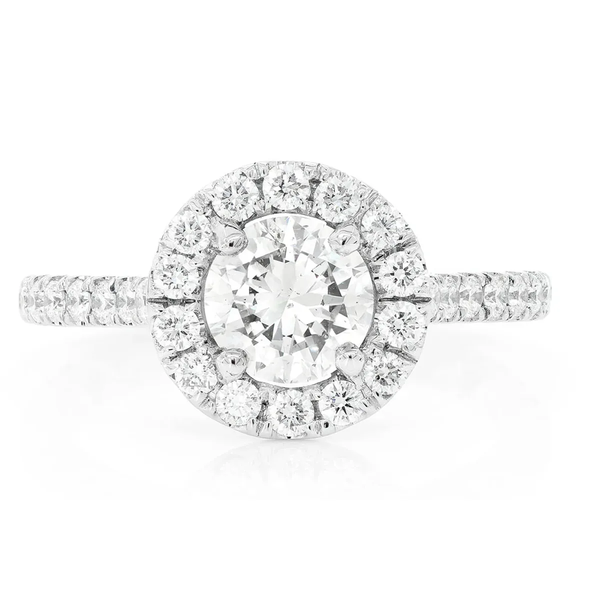 For Him Round Halo Diamond Ring in White Gold / Natural Diamond – Ring