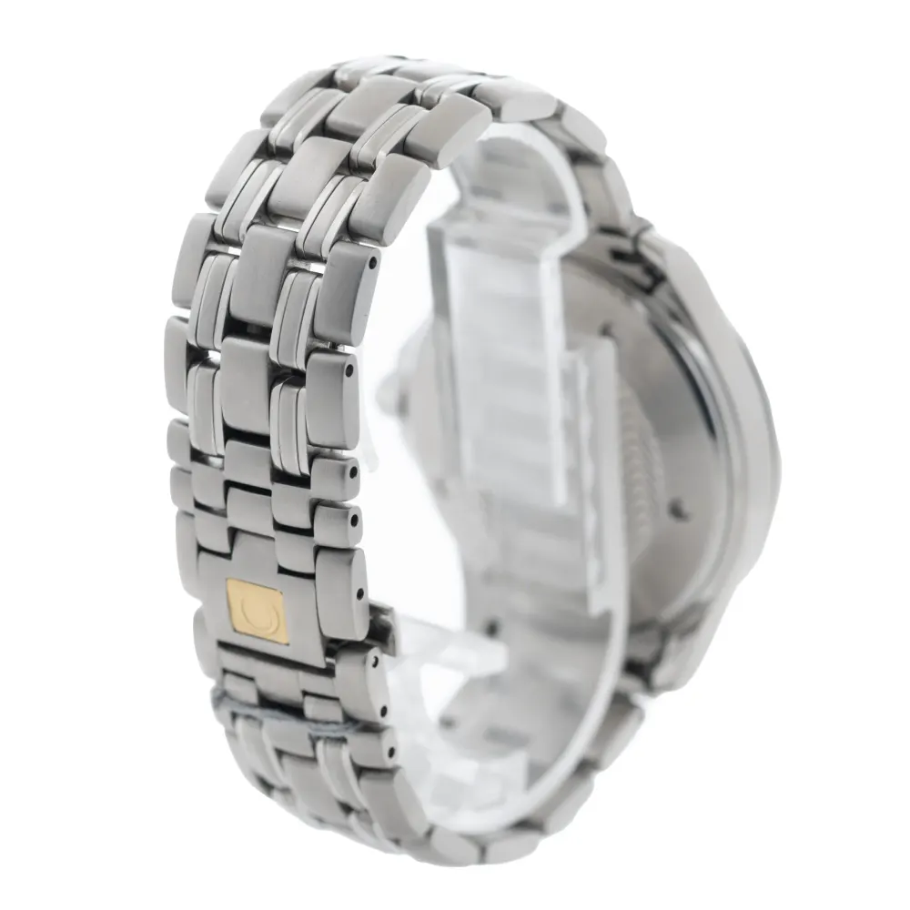 Omega Seamaster GMT 2534.50.00 — 2007 — Good detail 3
