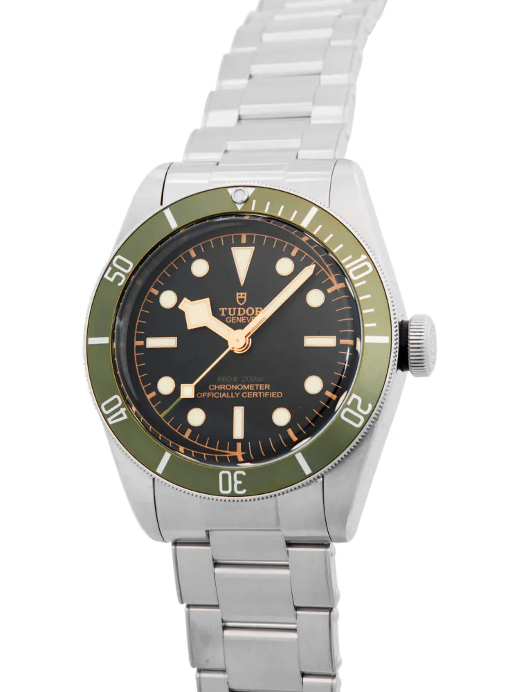 Tudor Heritage Black Bay 79230G — 2022 — Very good detail 2