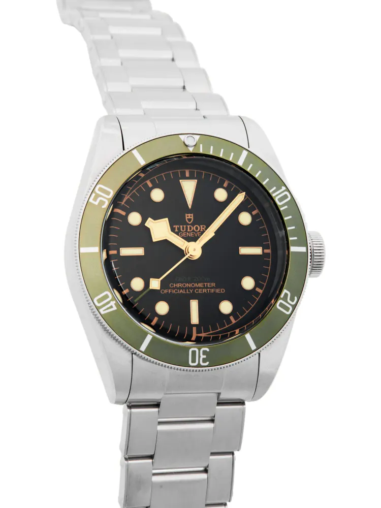 Tudor Heritage Black Bay 79230G — 2022 — Very good detail 3
